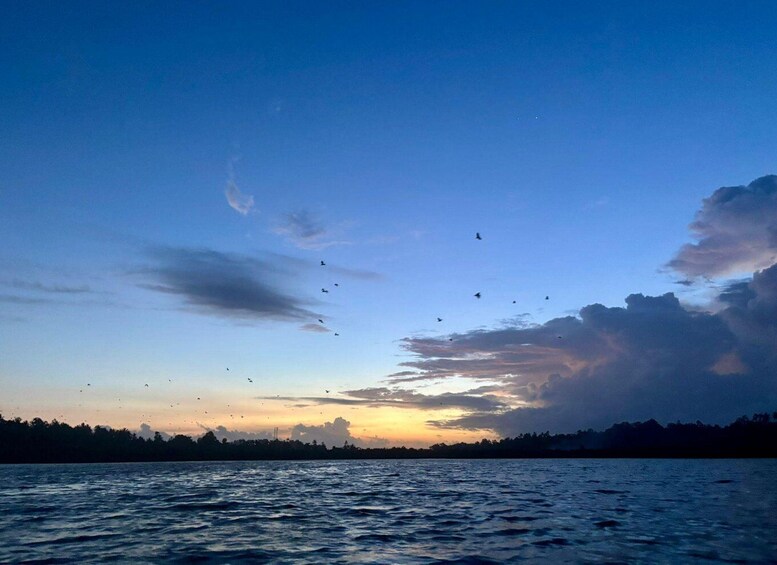 Picture 14 for Activity Mirissa: Kayaking & Bird watching Experience 2