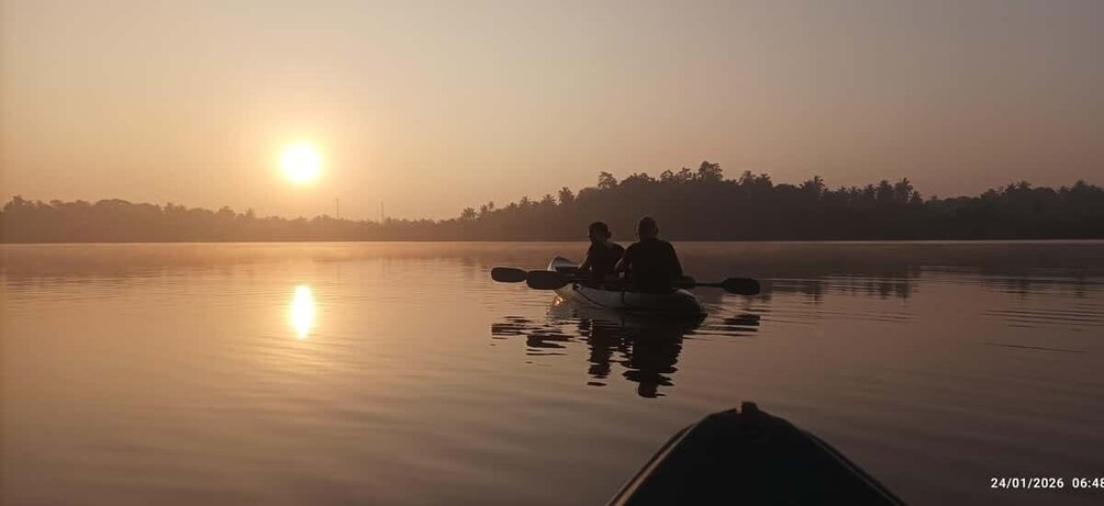 Picture 10 for Activity Mirissa: Kayaking & Bird watching Experience 3
