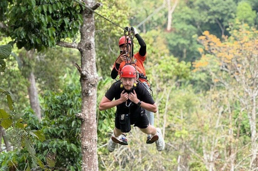 Eine Person saust mit einer Zipline durch einen Wald. 1