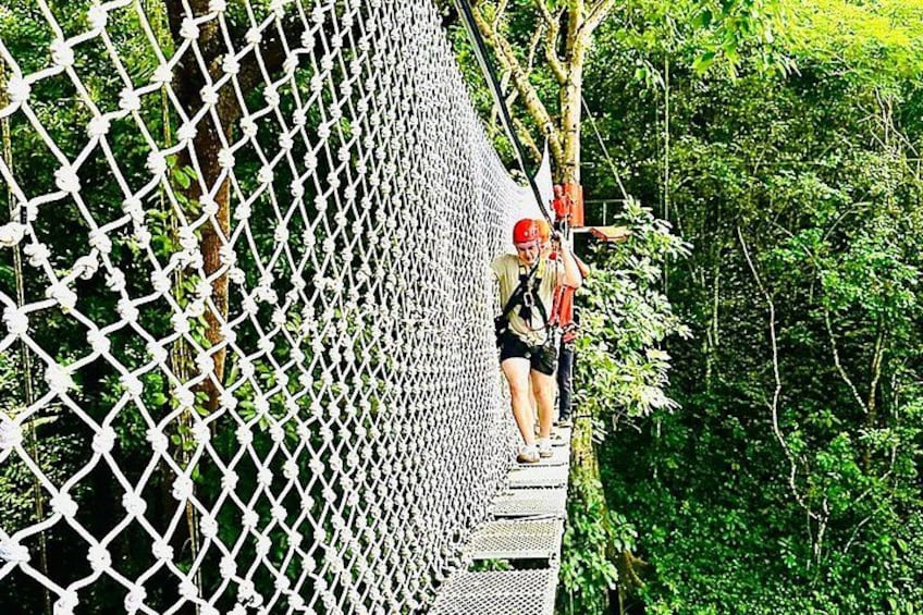 Un puente colgante en una zona boscosa, con gente caminando sobre él. 5