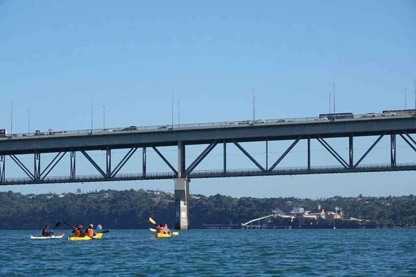 Sea Kayaking Adventure to Chelsea Sugar Factory 3
