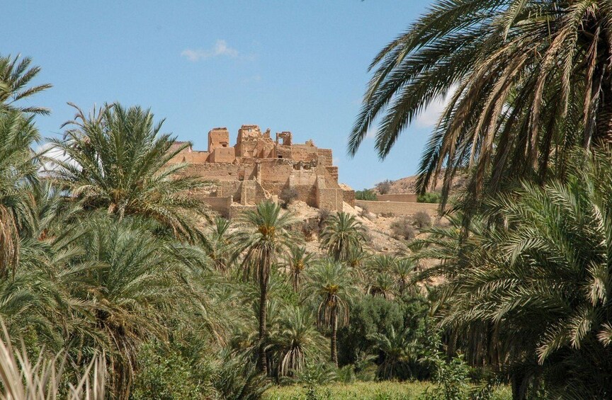 A historical site with ancient ruins surrounded by palm trees. 5