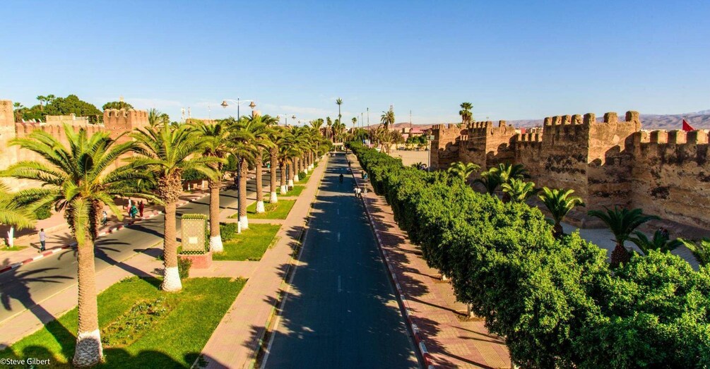 A pathway lined with palm trees and a historic wall. 1