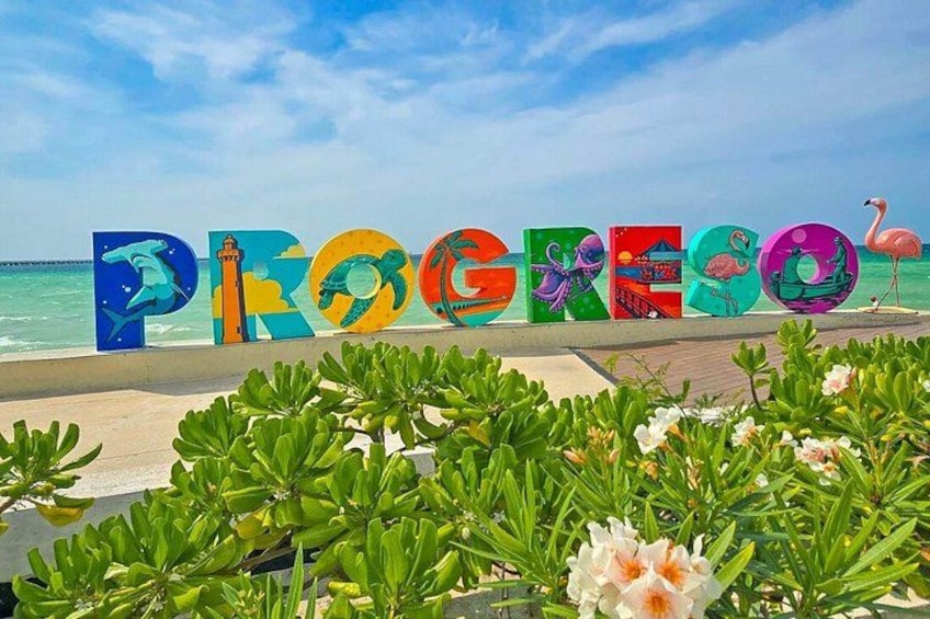A beach with colorful letters spelling 'PROGRAO' and a flamingo in the background. 2