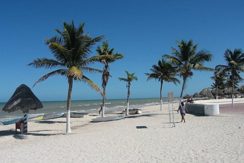 A beach with palm trees, a thatched umbrella, and a person walking. 3