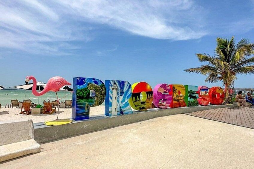 A beach with colorful murals spelling out 'OCEAN' and a pink flamingo statue. 4