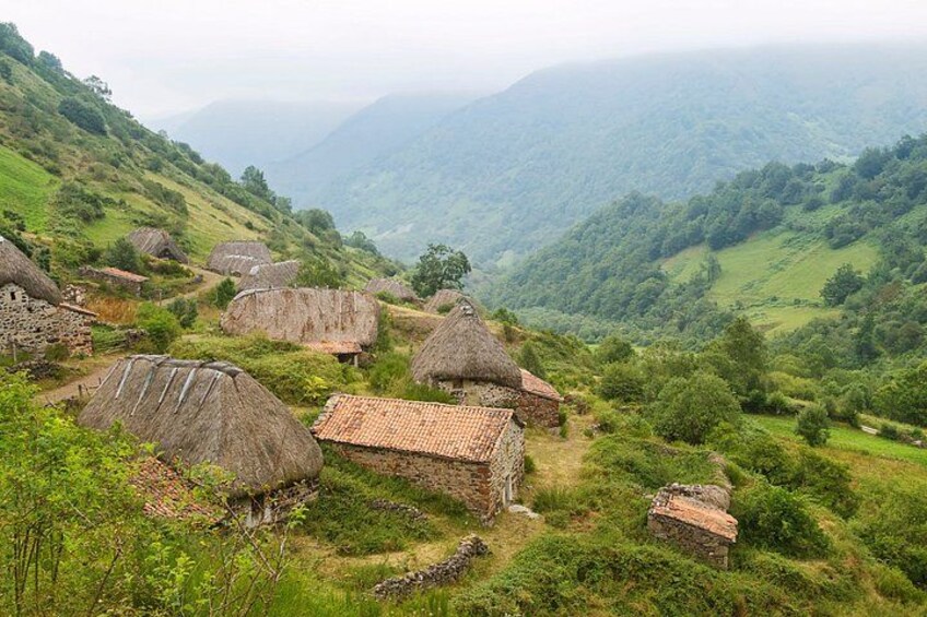Gijón and Oviedo: Excursion to Lakes of Somiedo and Path of the Bear 4