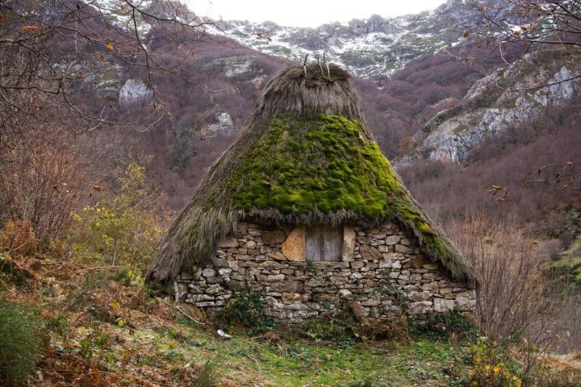 Gijón and Oviedo: Excursion to Lakes of Somiedo and Path of the Bear 2