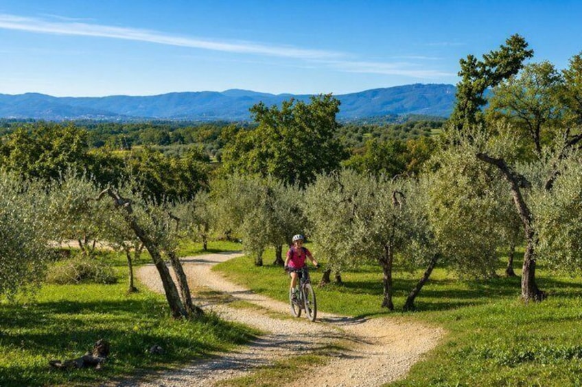 Terme di Saturnia eBike Virtual guided tour 5