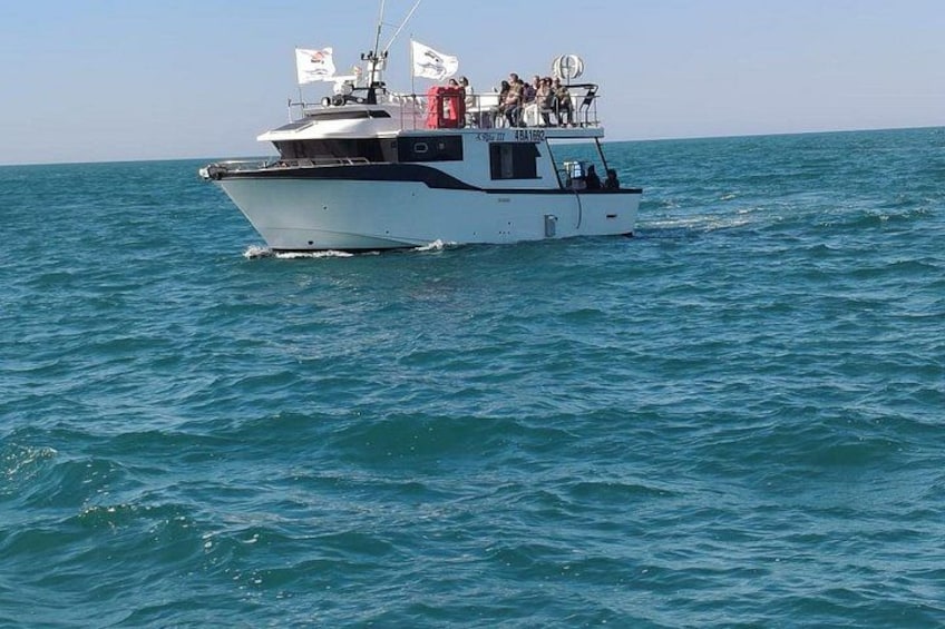 A white boat with people on deck, sailing on blue water. 3