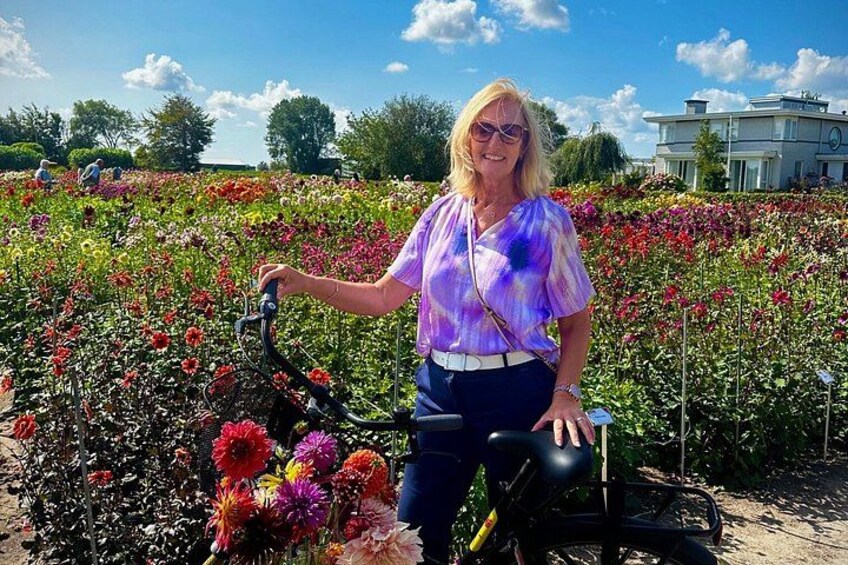 Dahlia Bicycle Tour Exploring Dahlias and Windmills 1