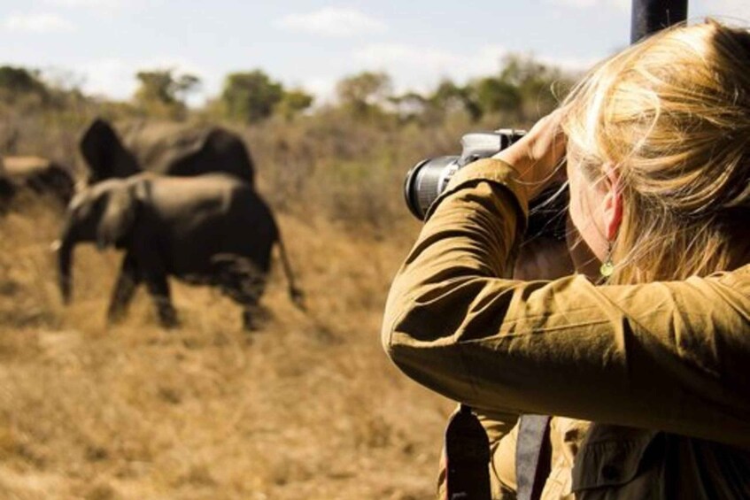 A person with a camera, wearing a green jacket, taking a photo of elephants in a dry grassland. 3