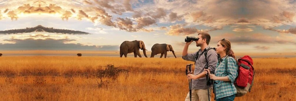 A couple in a grassy field with elephants in the background. 1