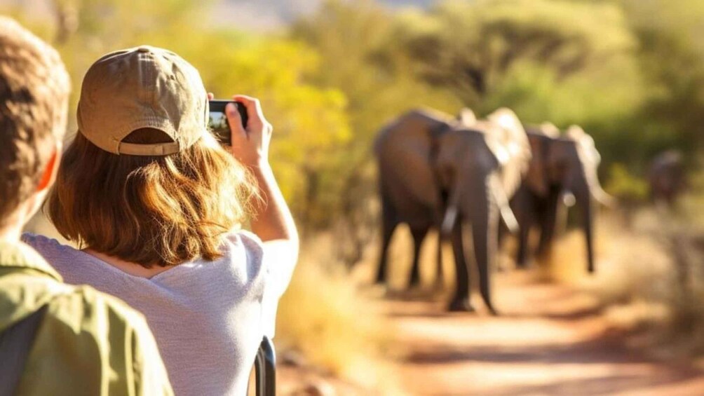 A person taking a photo of elephants on a dirt path. 4