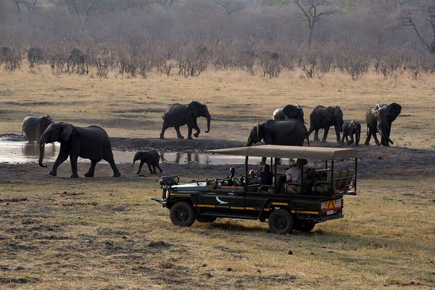 A safari vehicle with passengers observing elephants in a dry grassland. 5