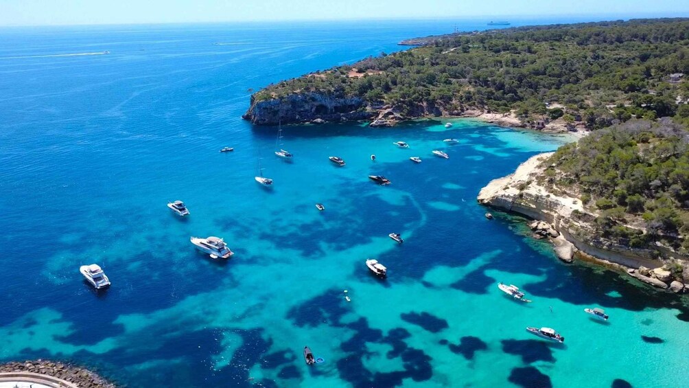 A coastal area with clear turquoise waters, numerous boats, and a rocky coastline with dense greenery. 5