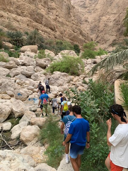 A group of people hiking on a rocky trail surrounded by greenery and a mountainous landscape. 4