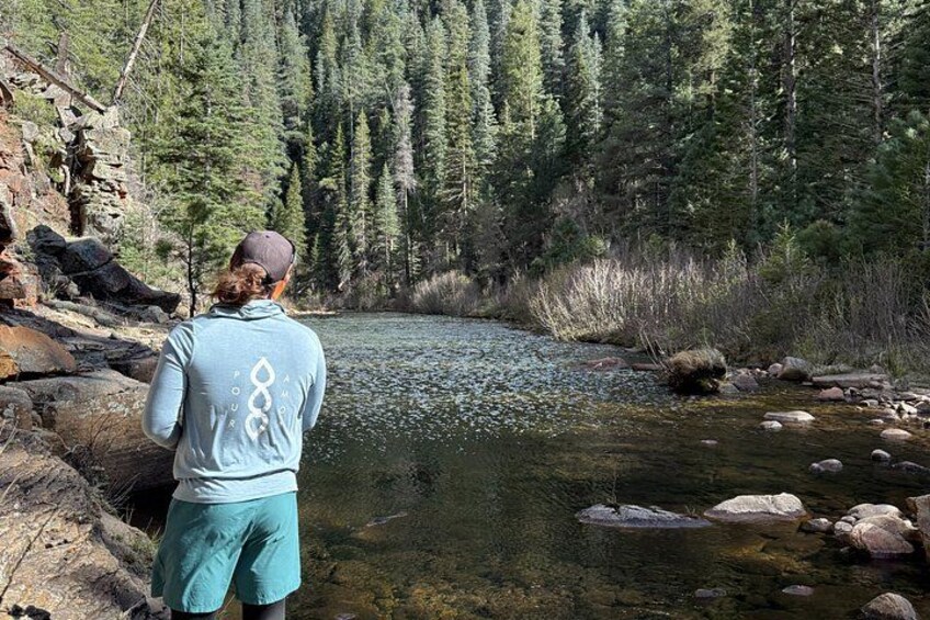 Mogollon Rim Day Adventure and Guided Hike to a Secluded Creek 5