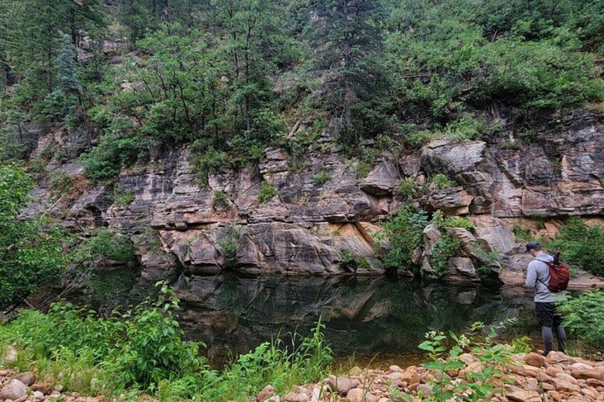 Mogollon Rim Day Adventure and Guided Hike to a Secluded Creek 3
