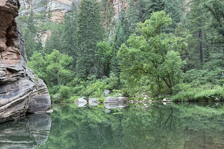 Mogollon Rim Day Adventure and Guided Hike to a Secluded Creek 4