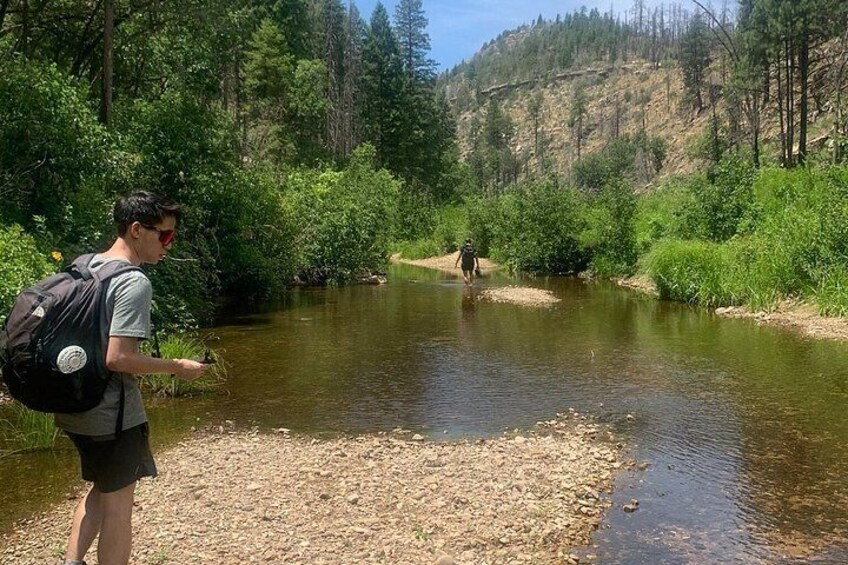 Mogollon Rim Day Adventure and Guided Hike to a Secluded Creek 2