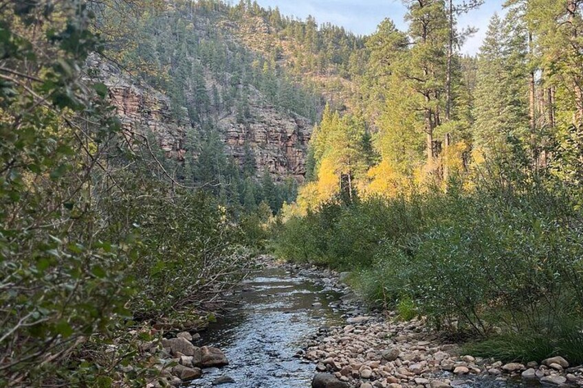 Mogollon Rim Day Adventure and Guided Hike to a Secluded Creek 3