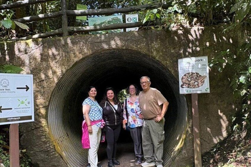 A tunnel entrance with a sign indicating a trail and a park. 5