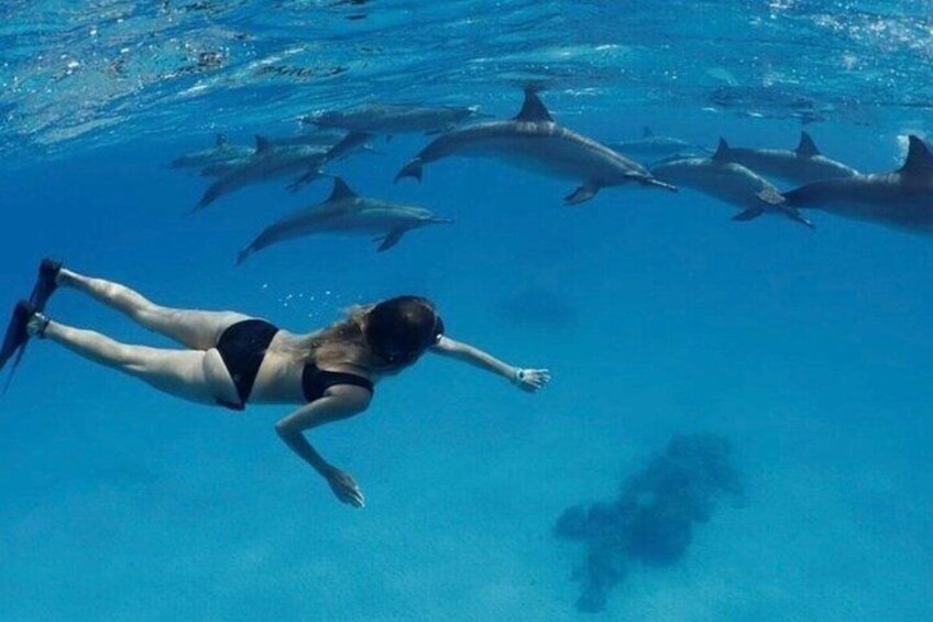 Una persona nadando bajo el agua con delfines. 2