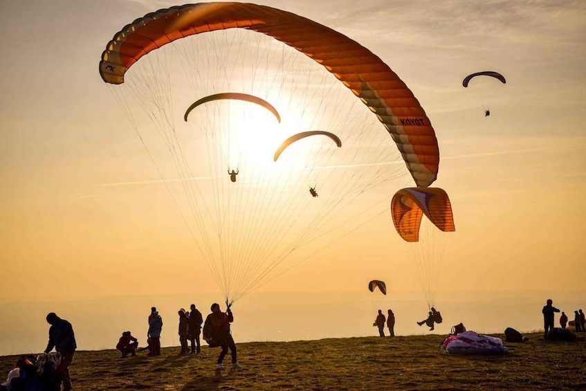 A group of people paragliding on a grassy field with the sun setting in the background. 3