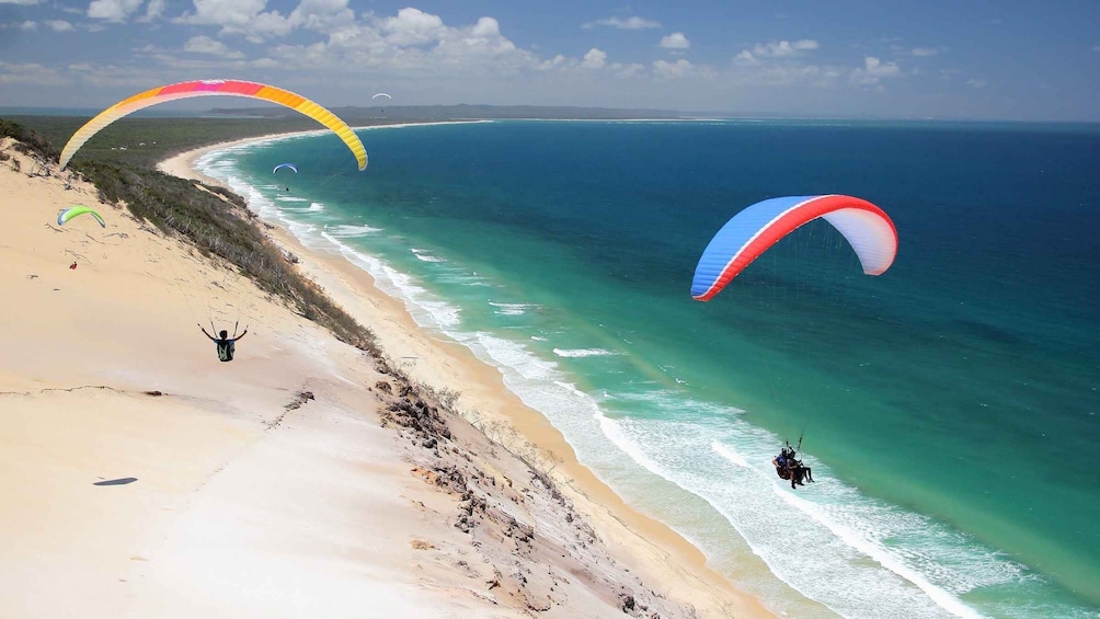 A beach with people paragliding and a clear blue ocean. 1