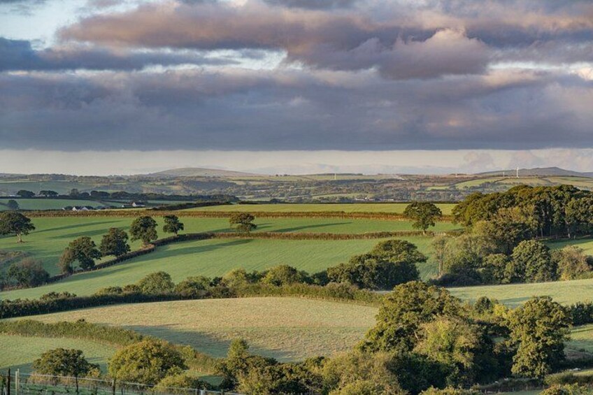 Rolling green hills, scattered trees, and distant wind turbines under a cloudy sky. 2
