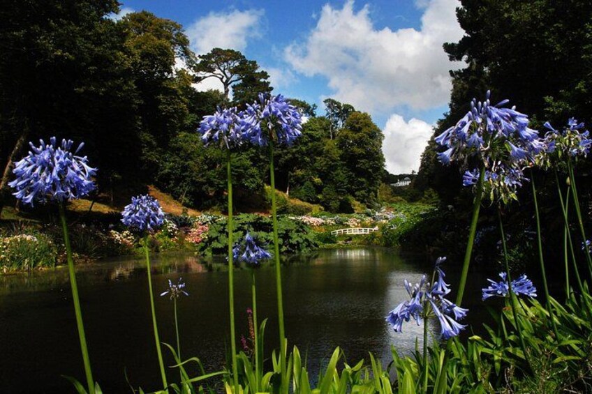 Ein See, umgeben von viel Grün und blauen Blumen. 1