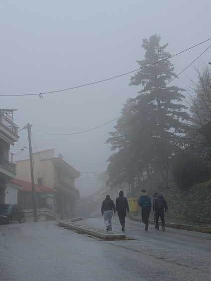 A foggy street with pedestrians walking, buildings, and a large tree. 1