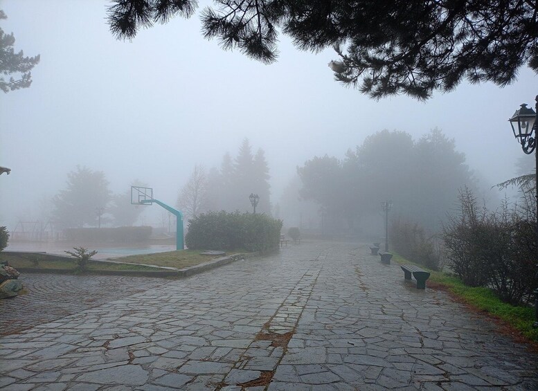 A foggy park with a basketball court, benches, and trees. 2