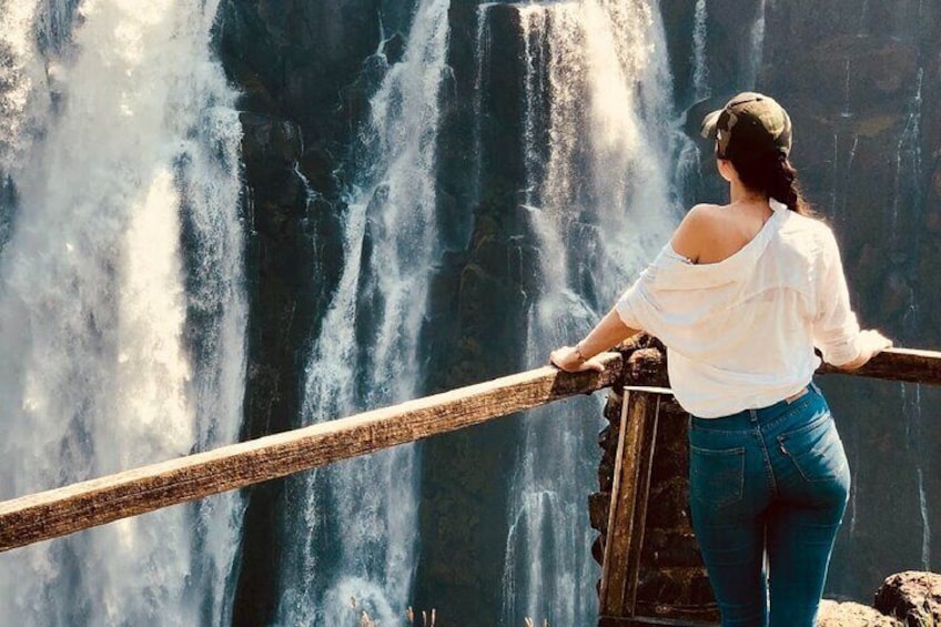 Una persona de pie sobre una plataforma de madera con vista a una cascada. 5