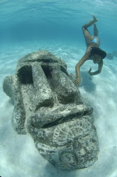 Picture 5 for Activity Moorea: Glass Bottom Boat Adventure with Lagoon Wonders 4