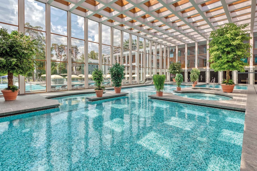 An indoor swimming pool with clear blue water, surrounded by large windows and potted plants. 5