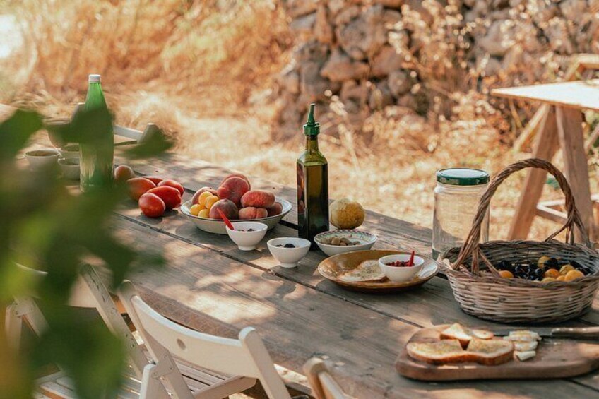 Olive Oil Tasting and Farm Tour in a Regenerative Sicilian Farm 5