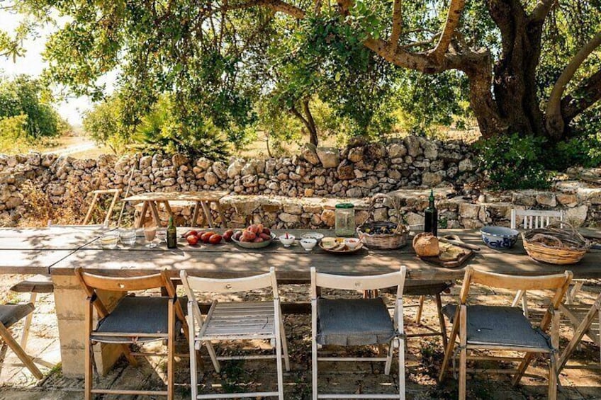 Olive Oil Tasting and Farm Tour in a Regenerative Sicilian Farm 5