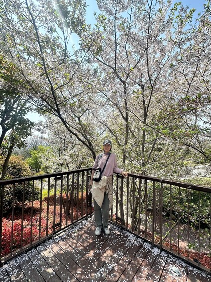 A person standing on a wooden bridge surrounded by cherry blossom trees. 2