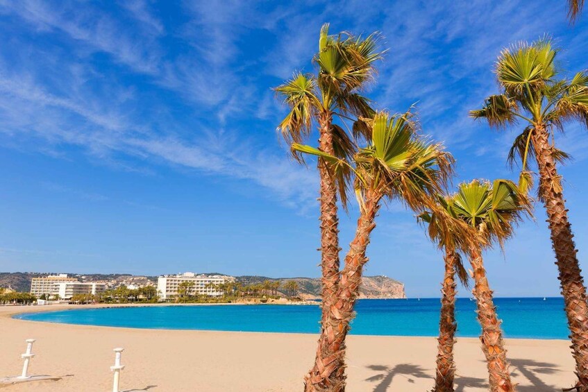 A beach with palm trees, clear blue water, and a hotel in the background. 3