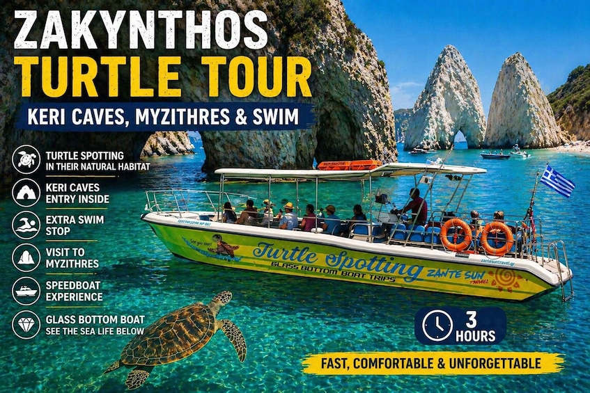 A tour boat with a turtle, Keri caves, and swim activities. 1