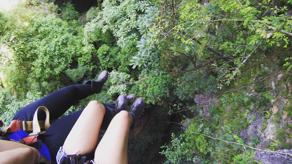 A person rappelling down a rocky cliff surrounded by dense green foliage. 2
