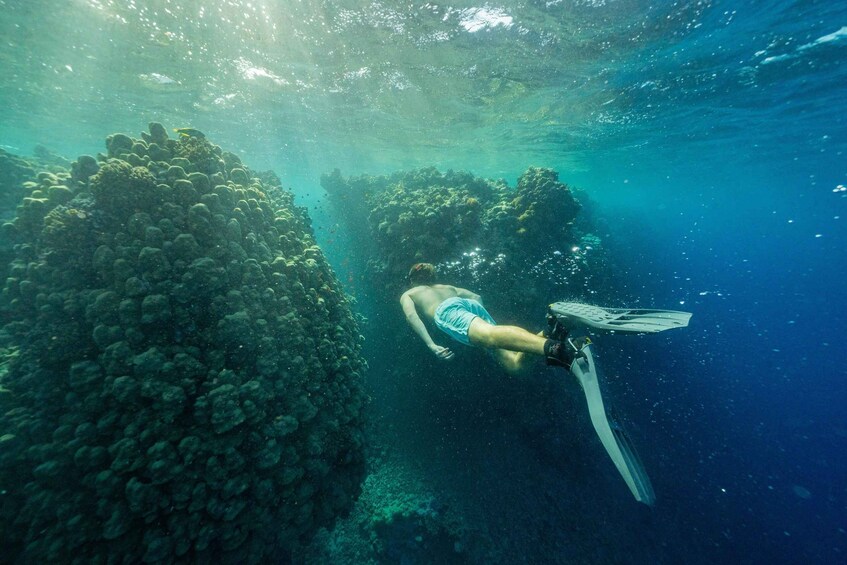 Picture 12 for Activity Red Sea Escape: Premium Boat Experience to Bayada Island 3