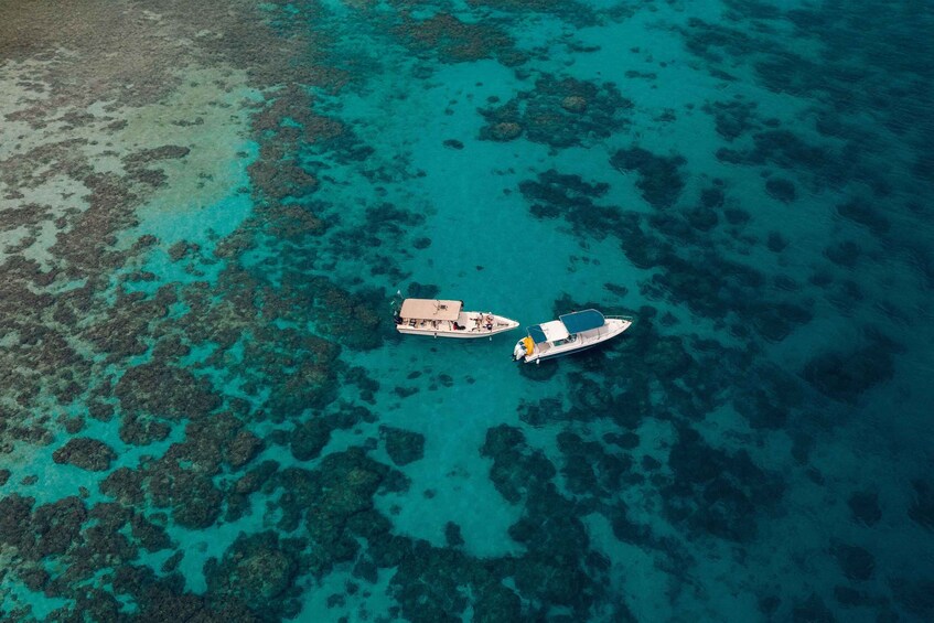 Picture 2 for Activity Red Sea Escape: Premium Boat Experience to Bayada Island 2
