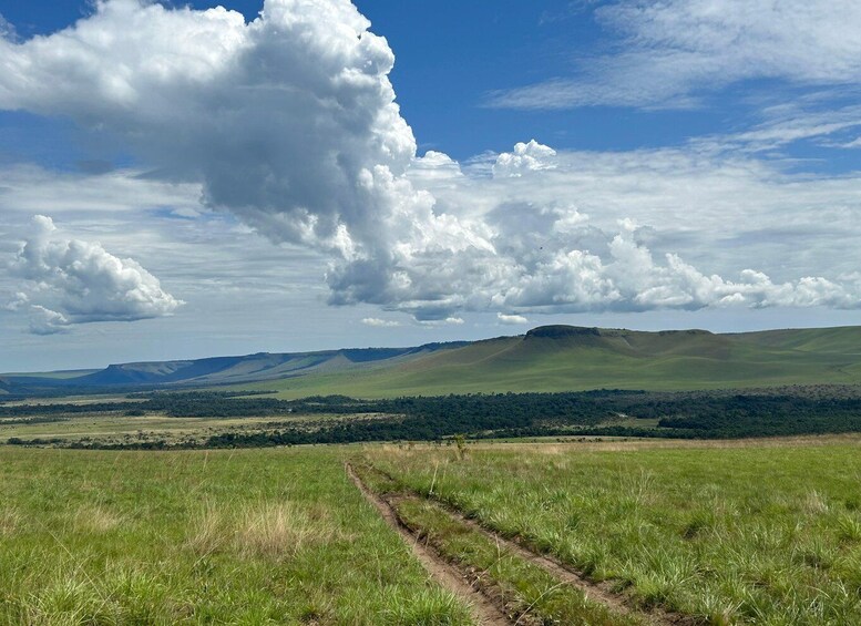 A grassy field with a dirt path leading to rolling hills under a partly cloudy sky. 5