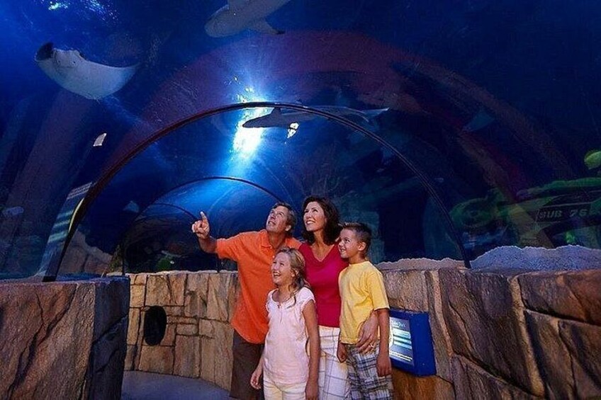 Istanbul: Emaar SkyView with Aquarium Combo Experience 4