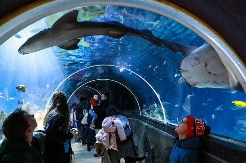 Istanbul: Emaar SkyView with Aquarium Combo Experience 3