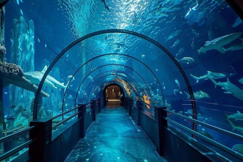 Istanbul: Emaar SkyView with Aquarium Combo Experience 2