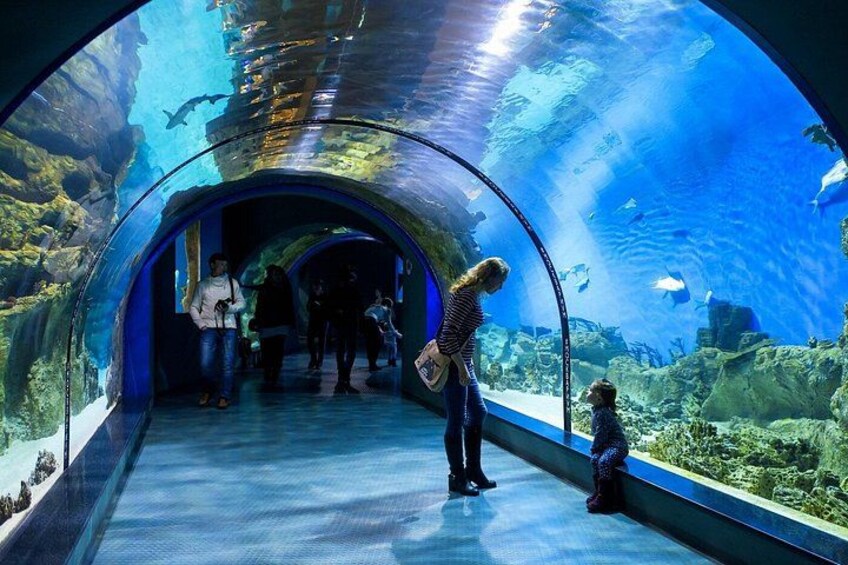 Istanbul: Emaar SkyView with Aquarium Combo Experience 5
